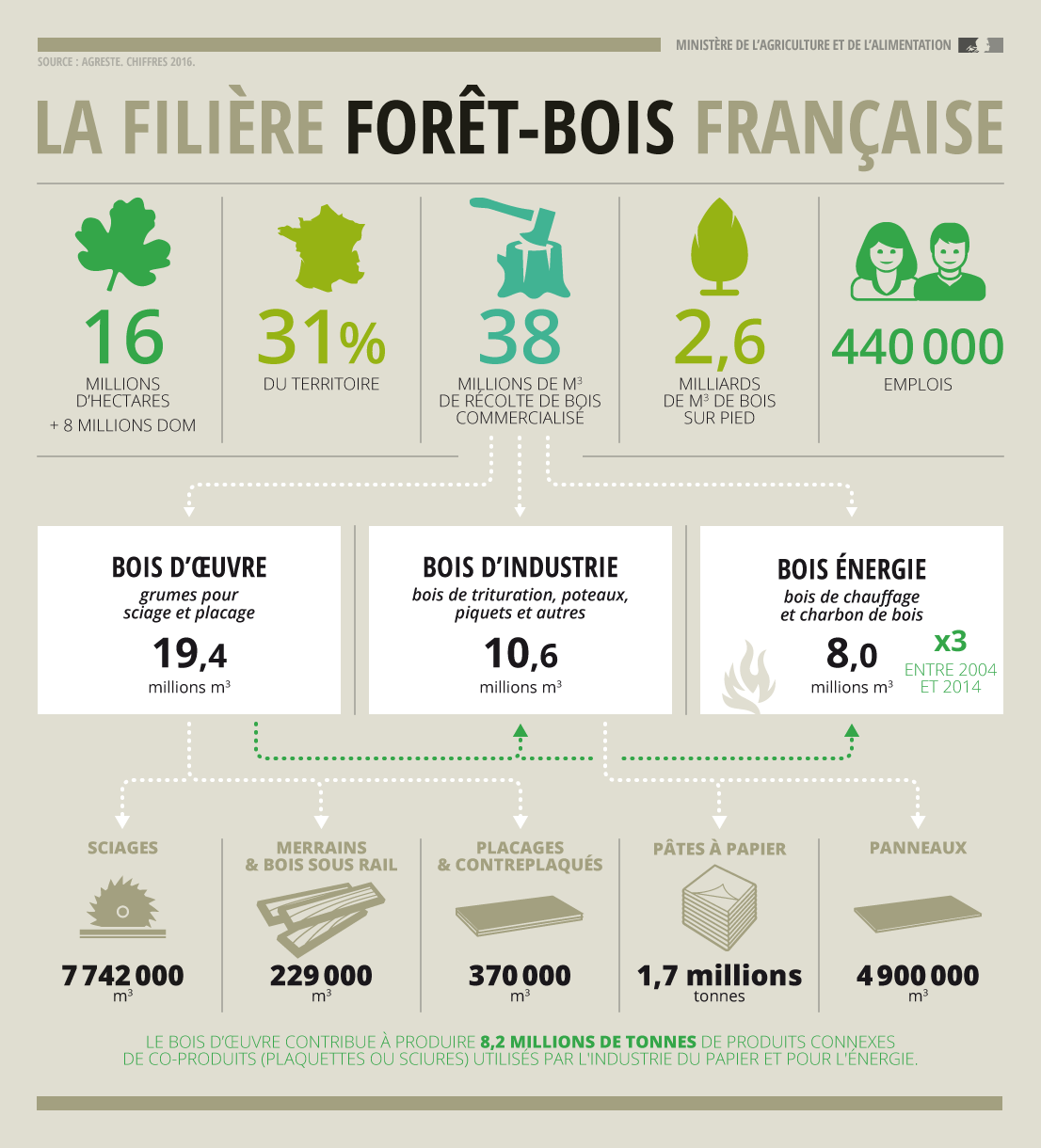 filière forêt-bois en france 2017