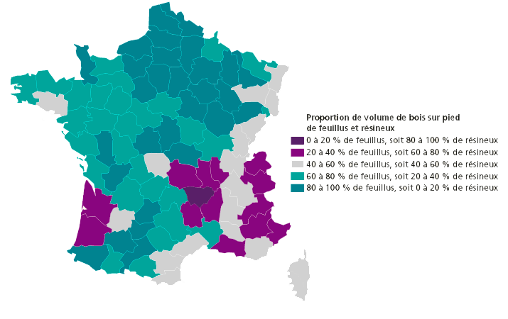 Volume de bois sur pied de feuillus et résineux 