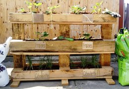 How to make your own vegetable garden labels?