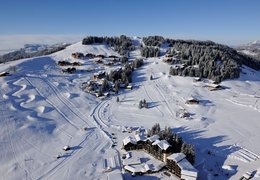 Fabrique sus patines de trineo de metal a medida 🛷