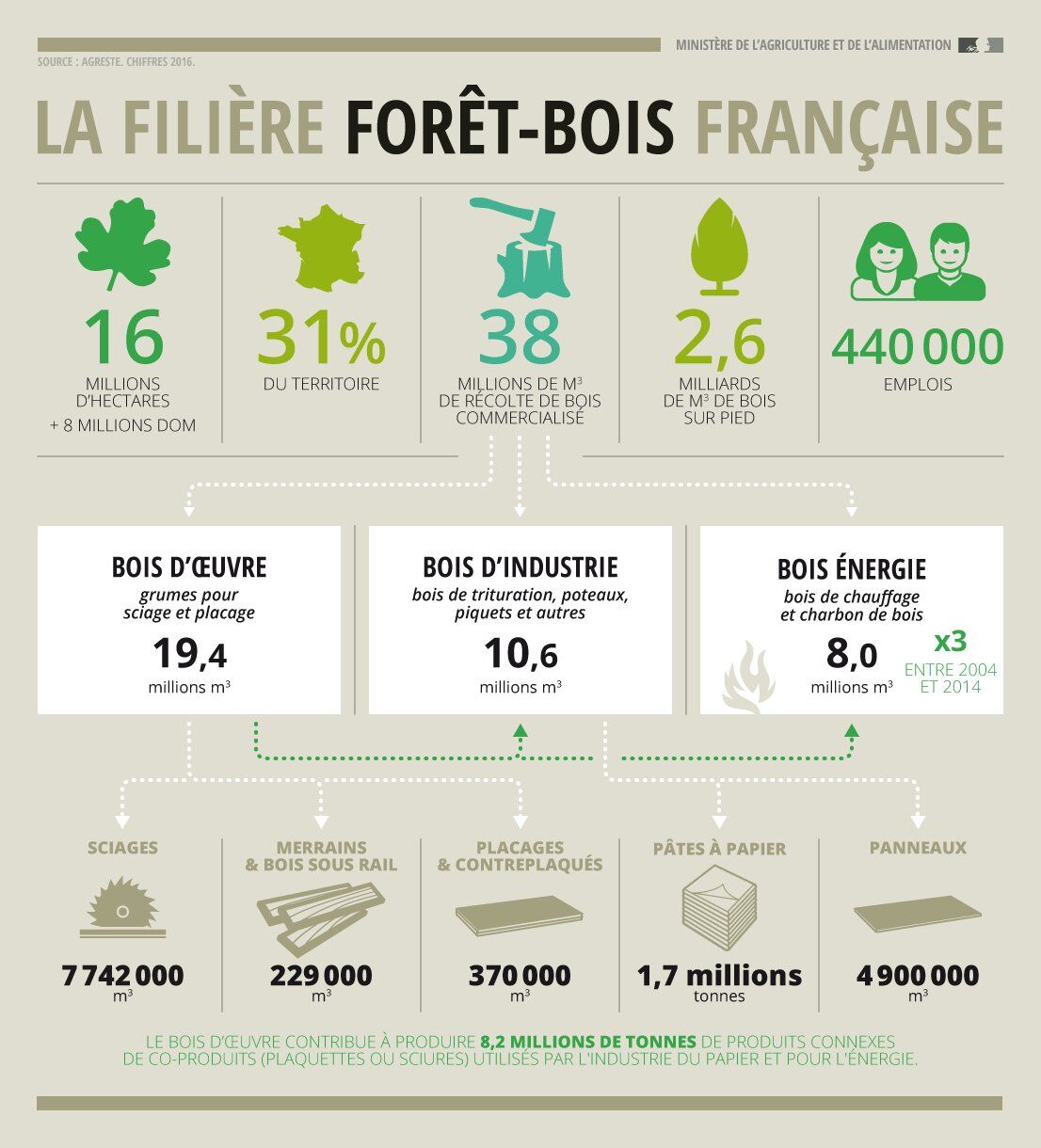 L'industria del legno in Francia 🌳