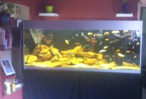 Rendre un aquarium design
