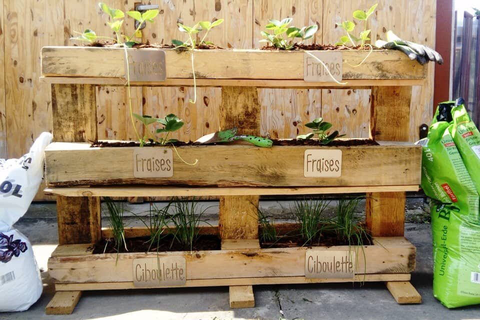Comment faire soi-même ses étiquettes de potager ?