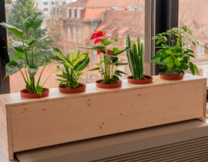 Fabriquer une jardinière en bois sur mesure !